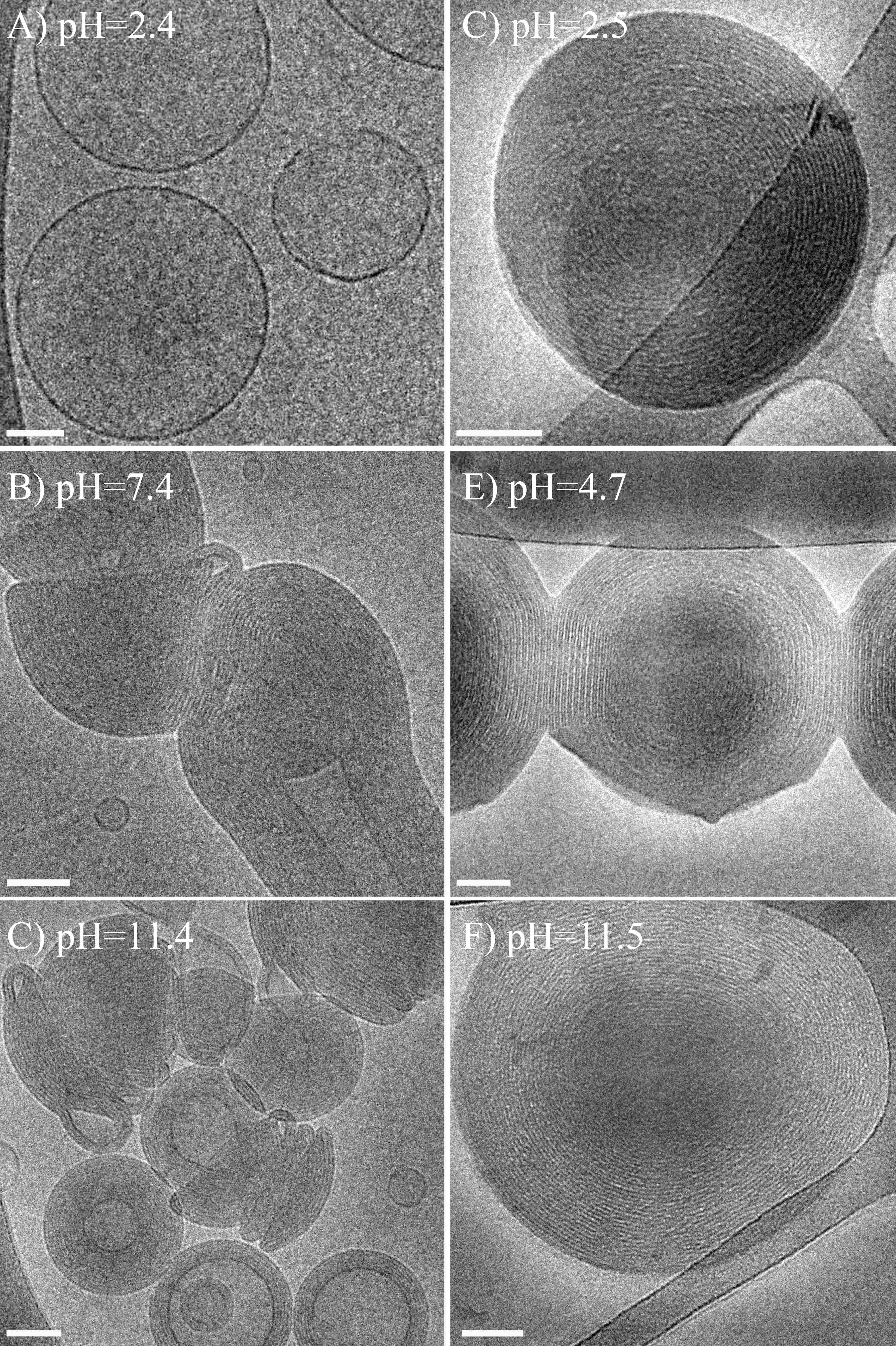 Figure 1. Cryo-TEM images of: DDAB and NaPAA (A-C); DDAB and NaPSS (D-F); CR=1 in all. Bars correspond to 50 nm. 